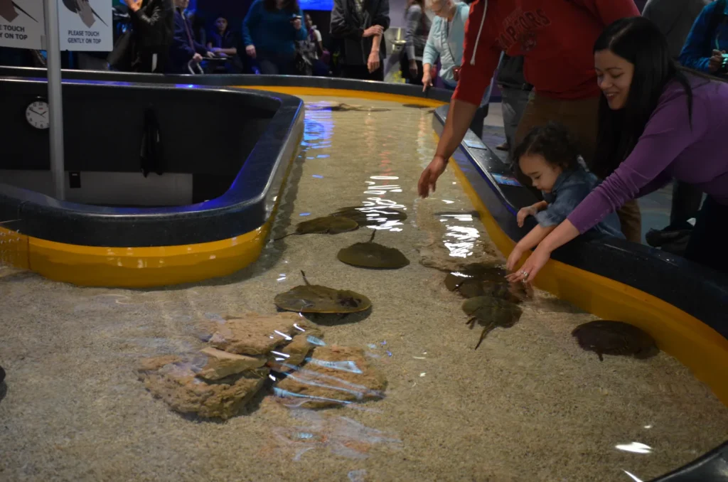 aquariums for families usa