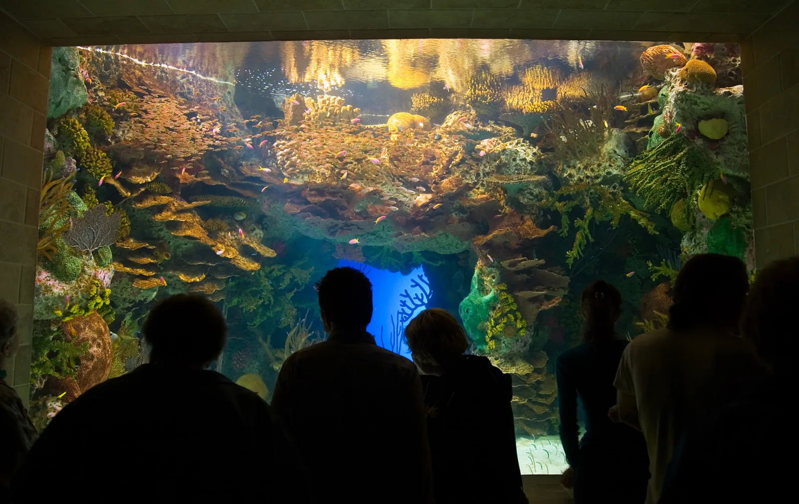 aquariums for families usa
