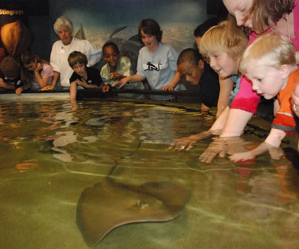 aquariums with touch tanks kids