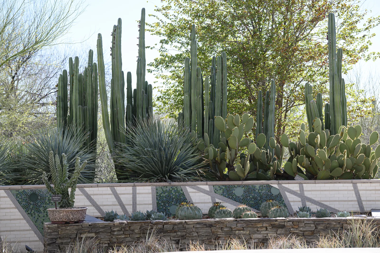 best botanical gardens in america