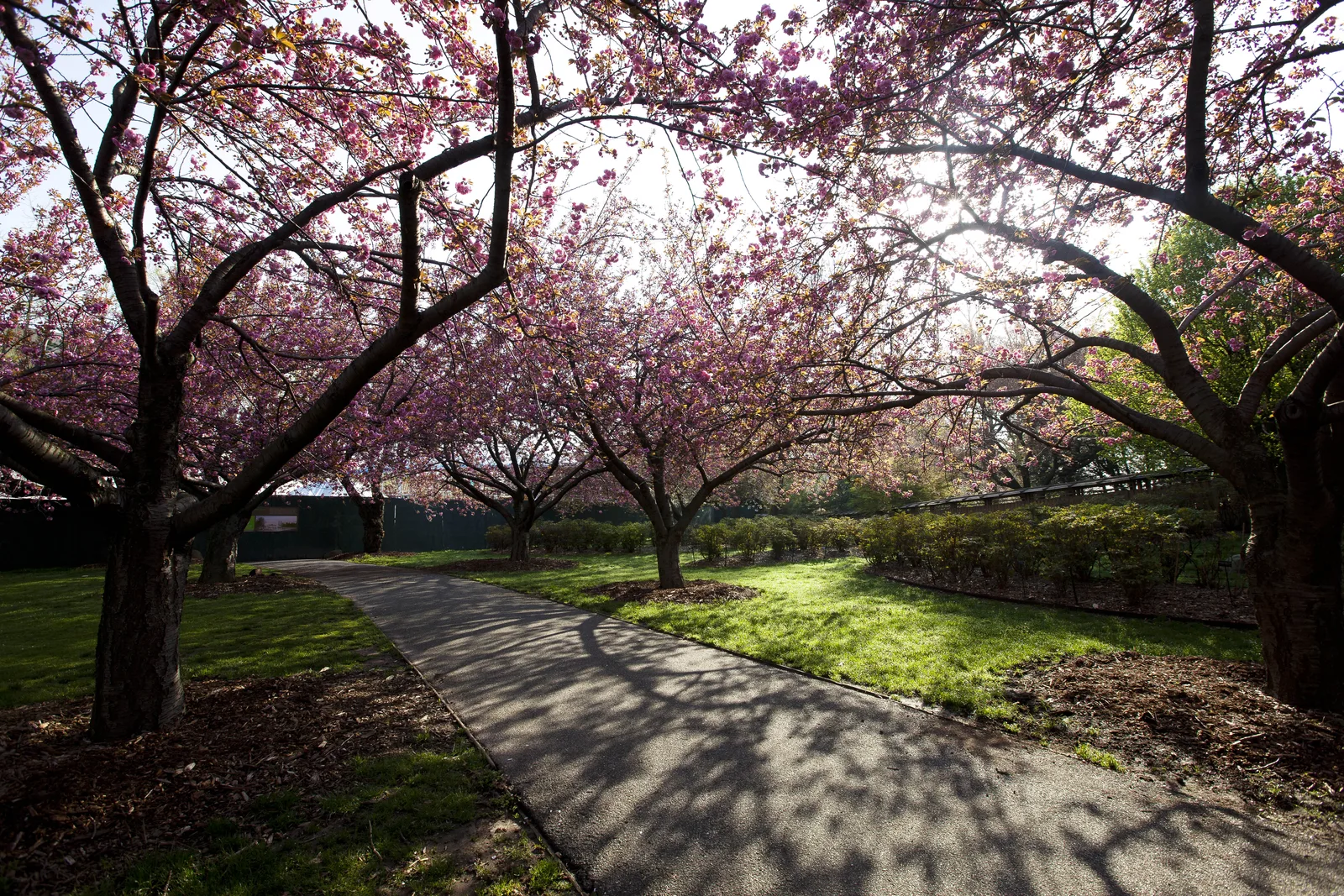 botanical gardens worth visiting in spring