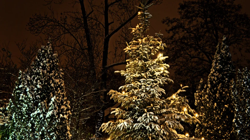 christmas vacations usa