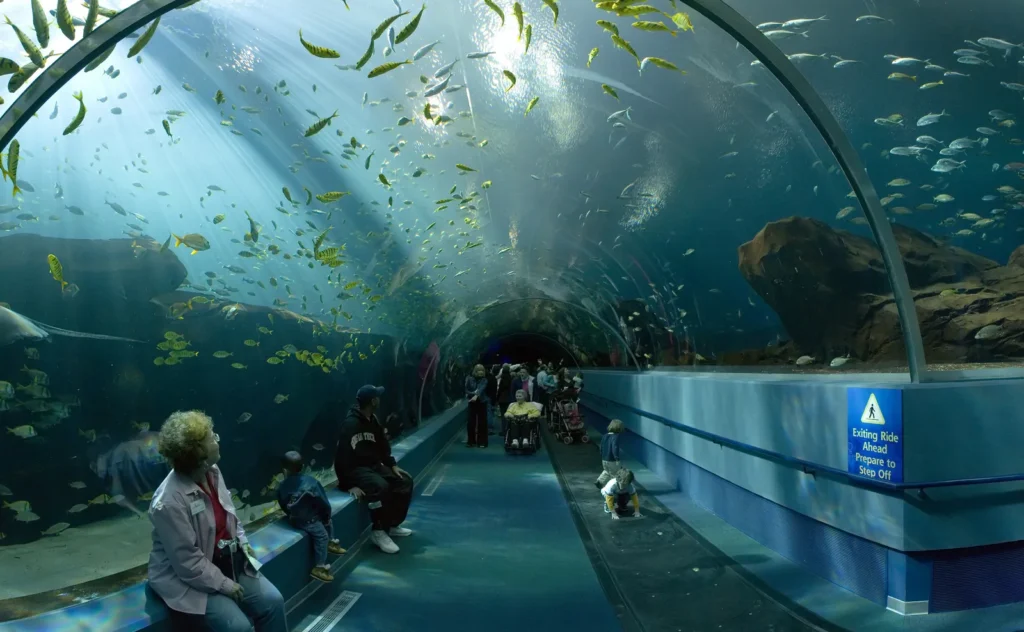 largest aquarium in the us