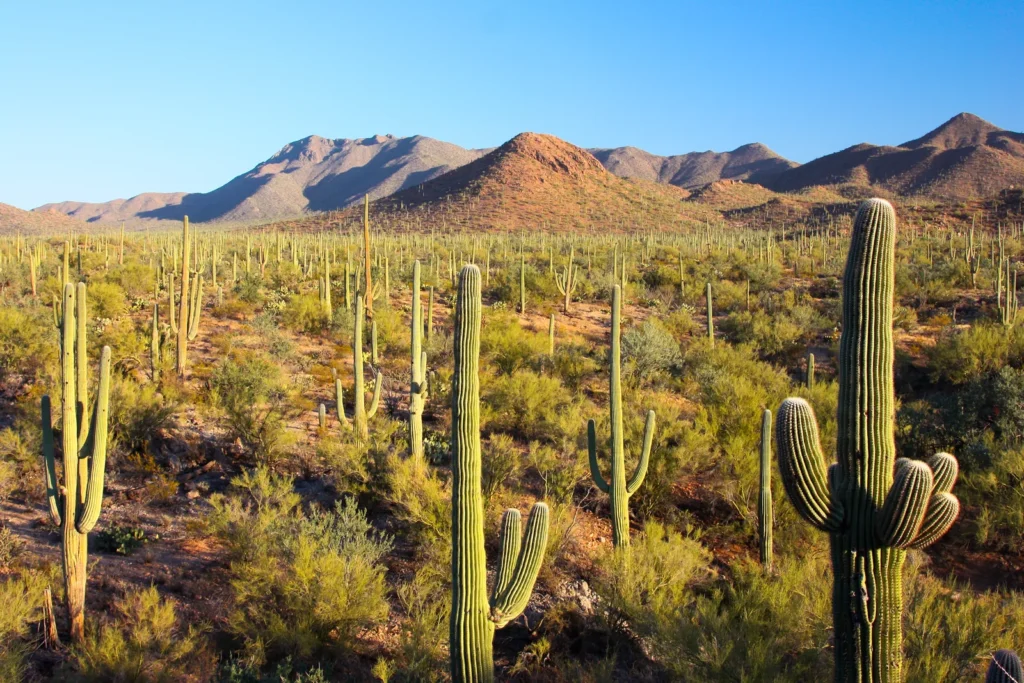 warm places to visit november