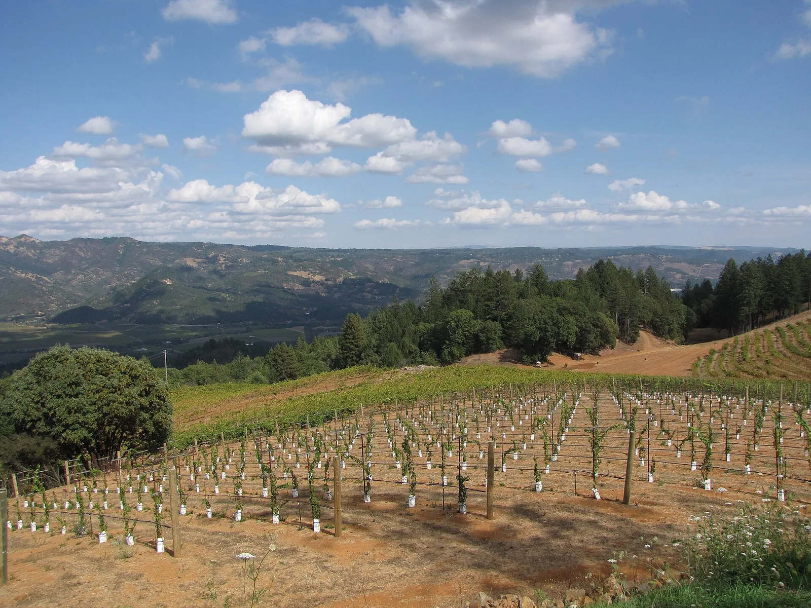 wine regions usa